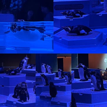 AOAO SAPPOROに投稿された画像（2023/7/20）