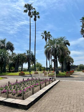 九十九島動植物園森きららに投稿された画像（2023/7/20）