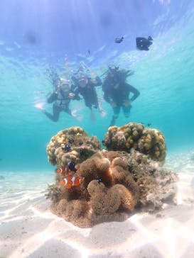 nico 宮古島に投稿された画像（2023/7/20）