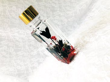 ずこうしつ〜sugamo〜に投稿された画像（2023/7/20）