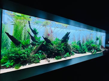 AOAO SAPPOROに投稿された画像（2023/7/20）