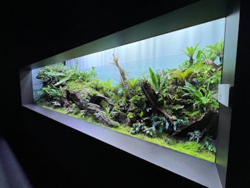 AOAO SAPPOROに投稿された画像（2023/7/20）