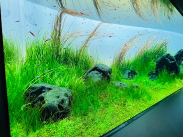 AOAO SAPPOROに投稿された画像（2023/7/20）