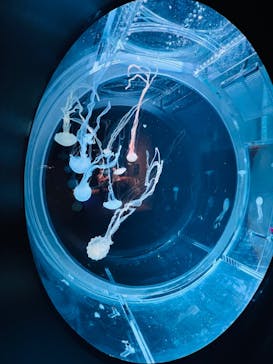 AOAO SAPPOROに投稿された画像（2023/7/20）