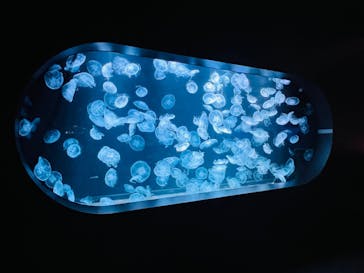 AOAO SAPPOROに投稿された画像（2023/7/20）