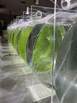 AOAO SAPPOROに投稿された画像（2023/7/20）