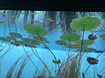 AOAO SAPPOROに投稿された画像（2023/7/20）