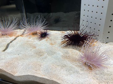 AOAO SAPPOROに投稿された画像（2023/7/20）