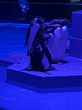 AOAO SAPPOROに投稿された画像（2023/7/20）