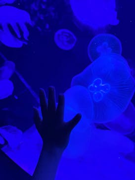 AOAO SAPPOROに投稿された画像（2023/7/20）