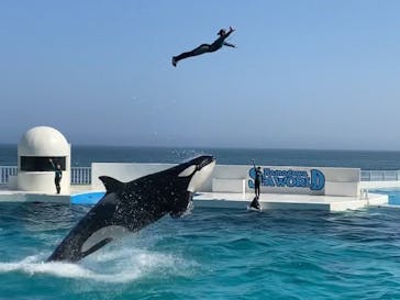 鴨川シーワールドに投稿された画像（2023/7/20）