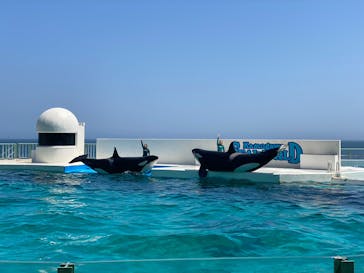 鴨川シーワールドに投稿された画像（2023/7/20）