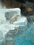 天王寺動物園に投稿された画像（2023/7/21）