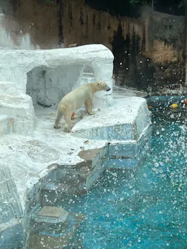 天王寺動物園に投稿された画像（2023/7/20）