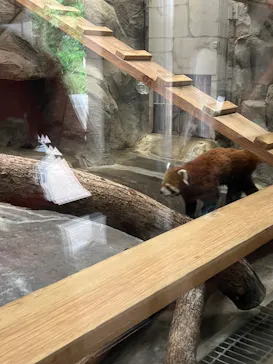 天王寺動物園に投稿された画像（2023/7/20）