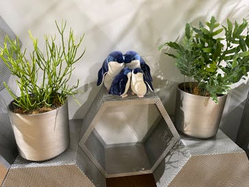 AOAO SAPPOROに投稿された画像（2023/7/21）