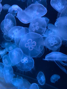 AOAO SAPPOROに投稿された画像（2023/7/21）