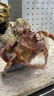 AOAO SAPPOROに投稿された画像（2023/7/21）