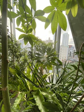 AOAO SAPPOROに投稿された画像（2023/7/21）