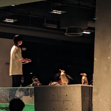 AOAO SAPPOROに投稿された画像（2023/7/21）