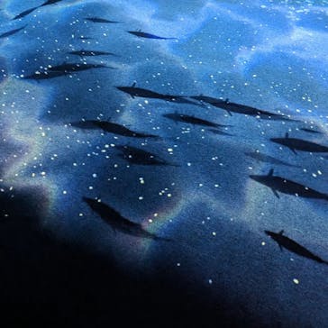 AOAO SAPPOROに投稿された画像（2023/7/21）