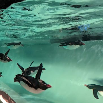 AOAO SAPPOROに投稿された画像（2023/7/21）