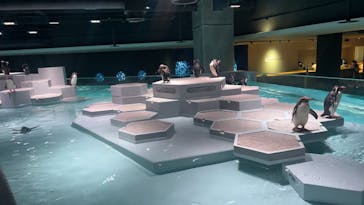 AOAO SAPPOROに投稿された画像（2023/7/21）