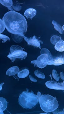 AOAO SAPPOROに投稿された画像（2023/7/21）