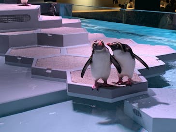 AOAO SAPPOROに投稿された画像（2023/7/21）