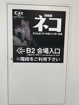 特別展「ネコ」 ～にゃんと！クールなハンターたち～に投稿された画像（2023/7/21）