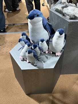 AOAO SAPPOROに投稿された画像（2023/7/21）