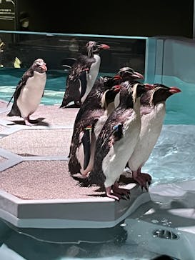 AOAO SAPPOROに投稿された画像（2023/7/21）