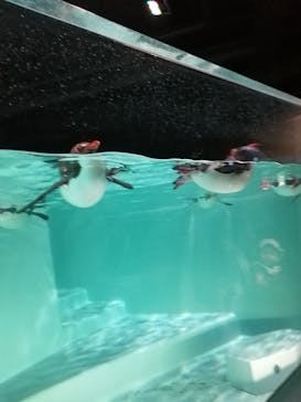 AOAO SAPPOROに投稿された画像（2023/7/21）