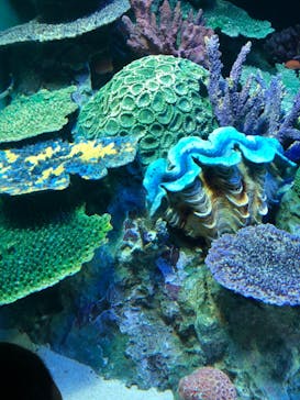 サンシャイン水族館に投稿された画像（2023/7/21）