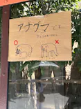 天王寺動物園に投稿された画像（2023/7/21）