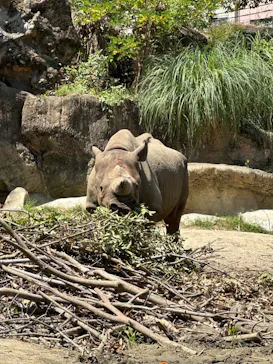 天王寺動物園に投稿された画像（2023/7/21）