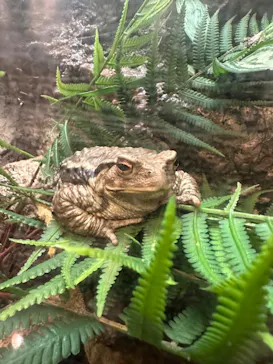 天王寺動物園に投稿された画像（2023/7/21）