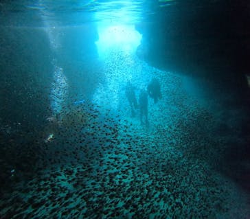 沖縄マリンサービス碧に投稿された画像（2023/7/21）