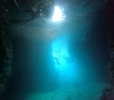 武藤潜水に投稿された画像（2023/7/21）