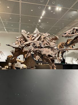 大阪市立自然史博物館に投稿された画像（2023/7/21）