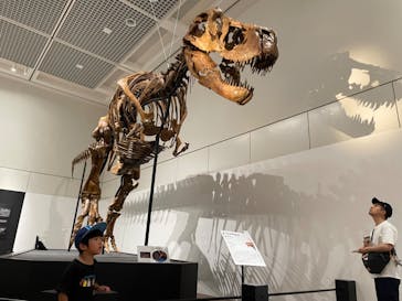 大阪市立自然史博物館に投稿された画像（2023/7/21）