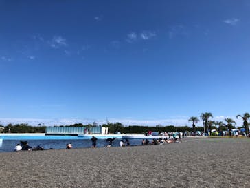 蓮沼ウォーターガーデンに投稿された画像（2023/7/21）