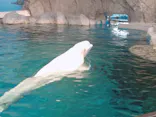 名古屋港水族館に投稿された画像（2023/7/21）