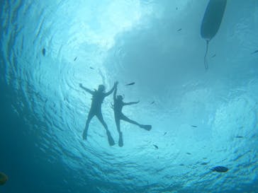 青の洞窟専門店　沖縄ダイビングショップ和に投稿された画像（2023/7/21）