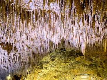 おきなわワールドに投稿された画像（2023/7/21）