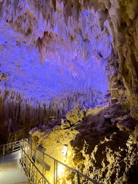 おきなわワールドに投稿された画像（2023/7/21）