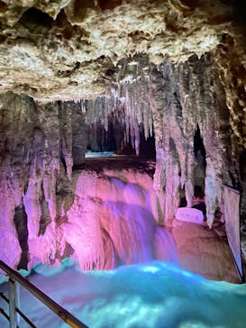 おきなわワールドに投稿された画像（2023/7/21）