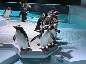 AOAO SAPPOROに投稿された画像（2023/7/21）