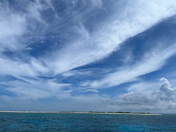 Sea World（シーワールド）に投稿された画像（2023/7/21）