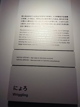 AOAO SAPPOROに投稿された画像（2023/7/21）